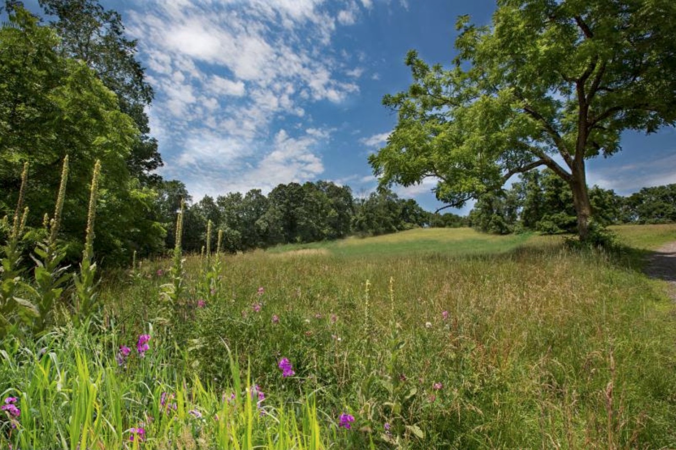 PA Environment Digest Blog Tinicum Conservancy Helps Preserve 57Acre