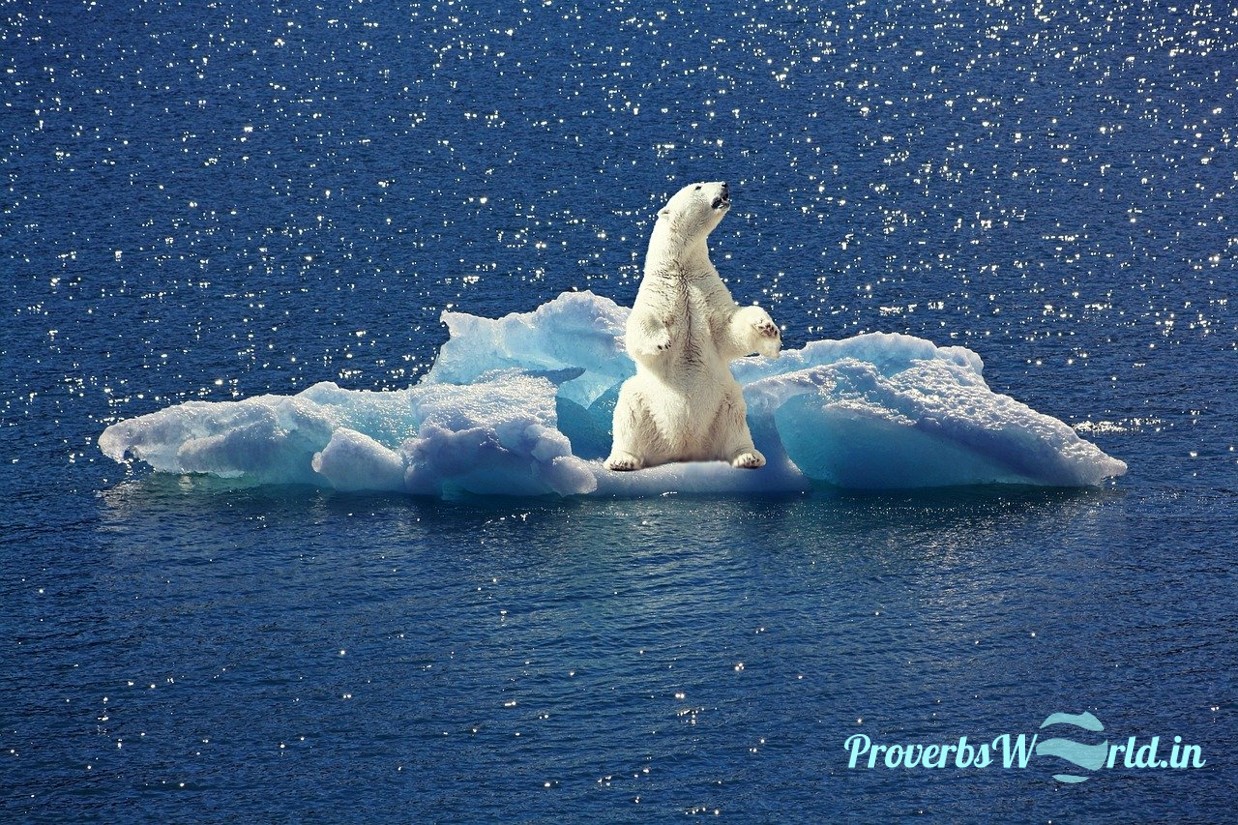 Man proposes, God disposes