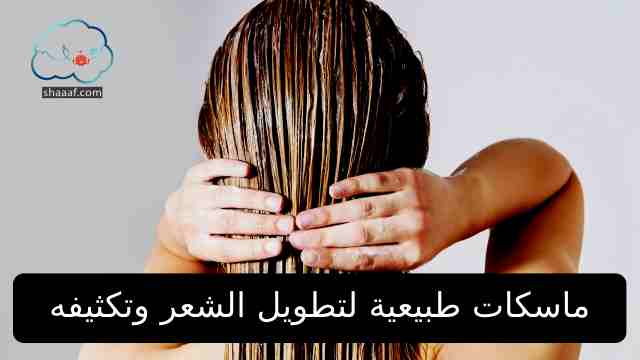 ماسكات لتطويل الشعر وتكثيفه ماسكات طبيعية لتطويل الشعر وتكثيفه