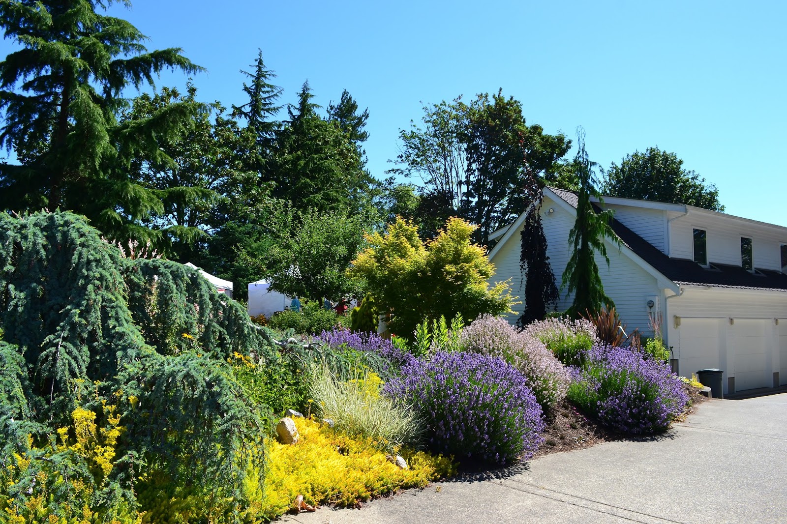 Linda Letters Gig Harbor Garden Tour Garden 1