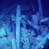 Black Sea Bounty: Shipwreck Found in ‘undiscovered world
