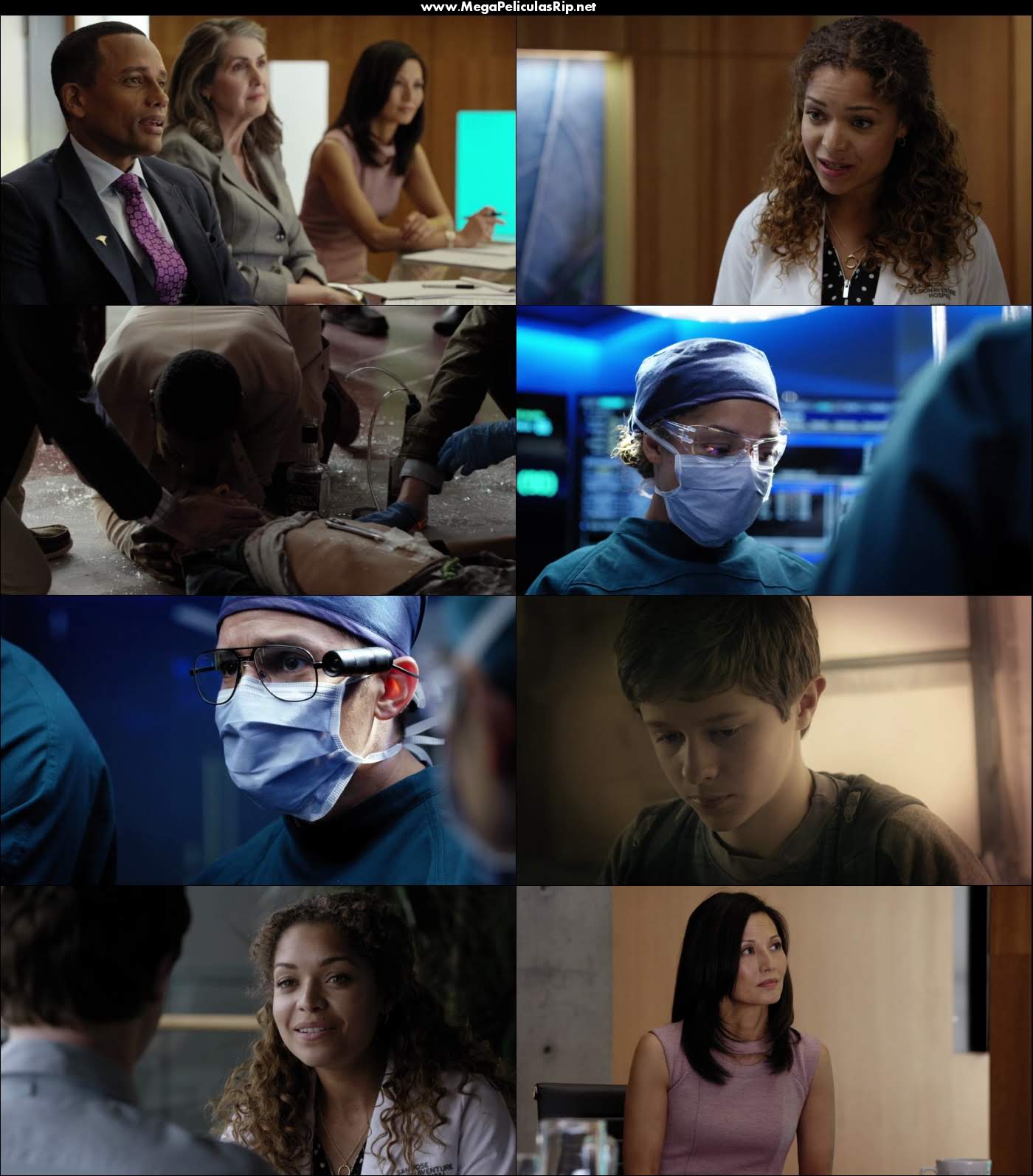 The Good Doctor Temporada 1 720p Latino