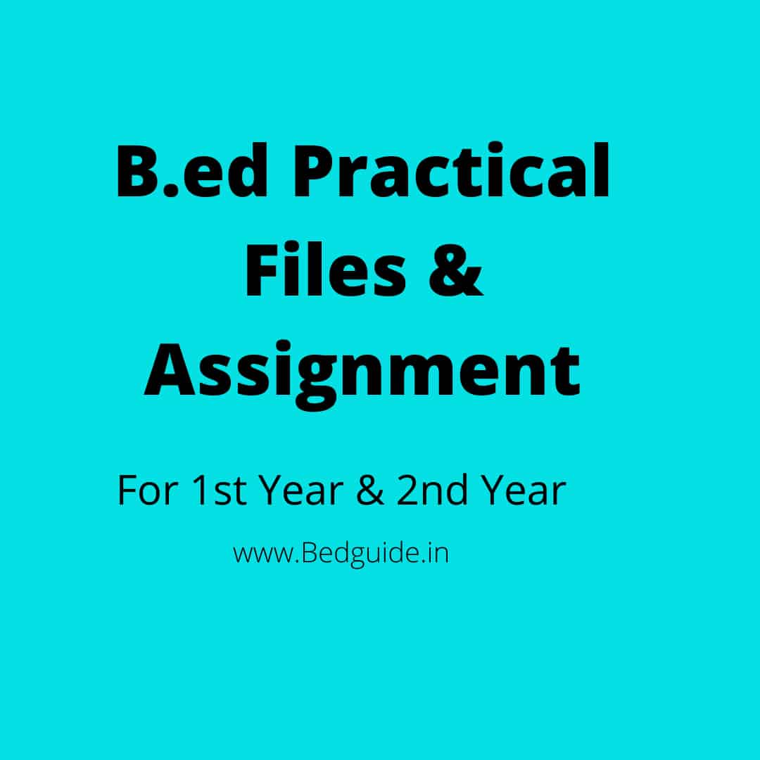B.ed Assignment and Projects File PDF Download