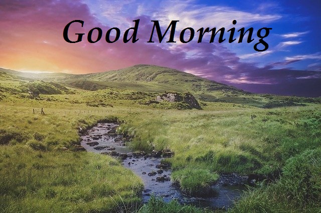 Good Morning Nature Images Free Download