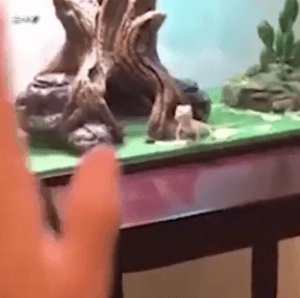 1558195469.gif