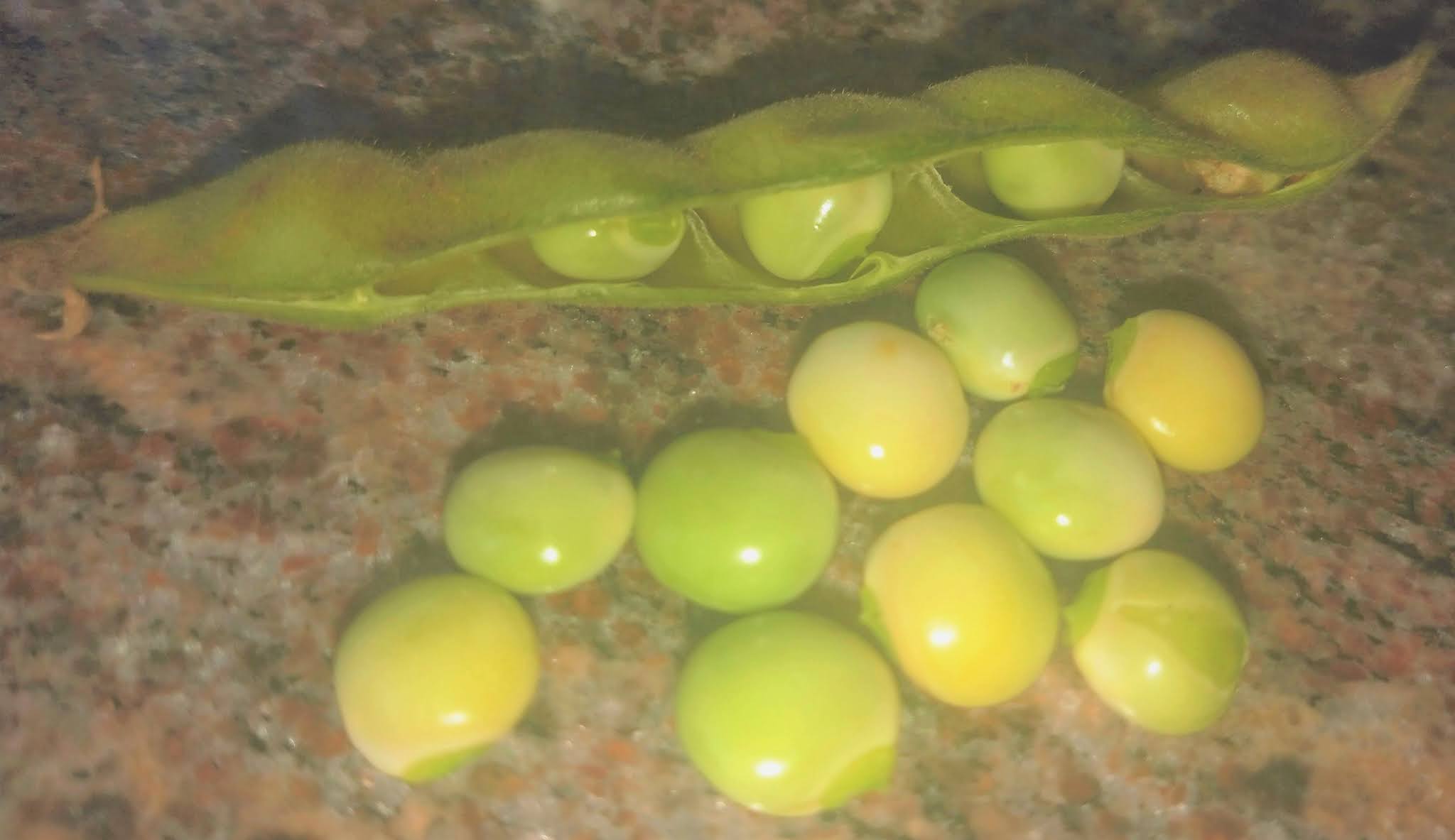 know about kannada and Karnataka Beans, Pulses in kannada and English