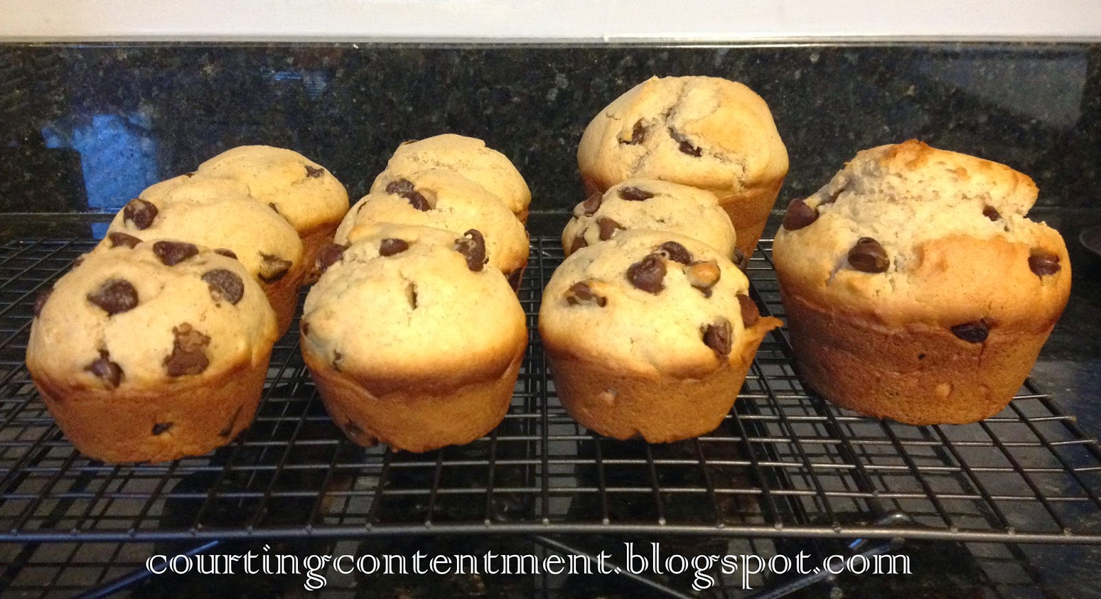 Courting Contentment Jumbo Chocolate Chip Muffins