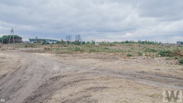 Wycinka drzew pod budowę drogi ekspresowej S5 w kujawsko-pomorskim Wycinka drzew pomiędzy Pawłówkiem a Tryszczynem, obwodnica Bydgoszczy