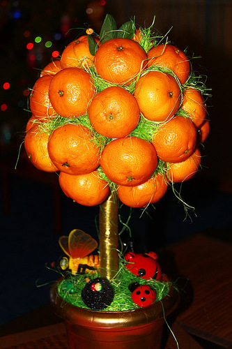 Мастерим новогоднее деревце из мандаринов: идеи и мастер-классы, как сделать дерево из мандаринов своими руками, мандарины на новый год мастер-класс дерево счастья, http://prazdnichnymir.ru/