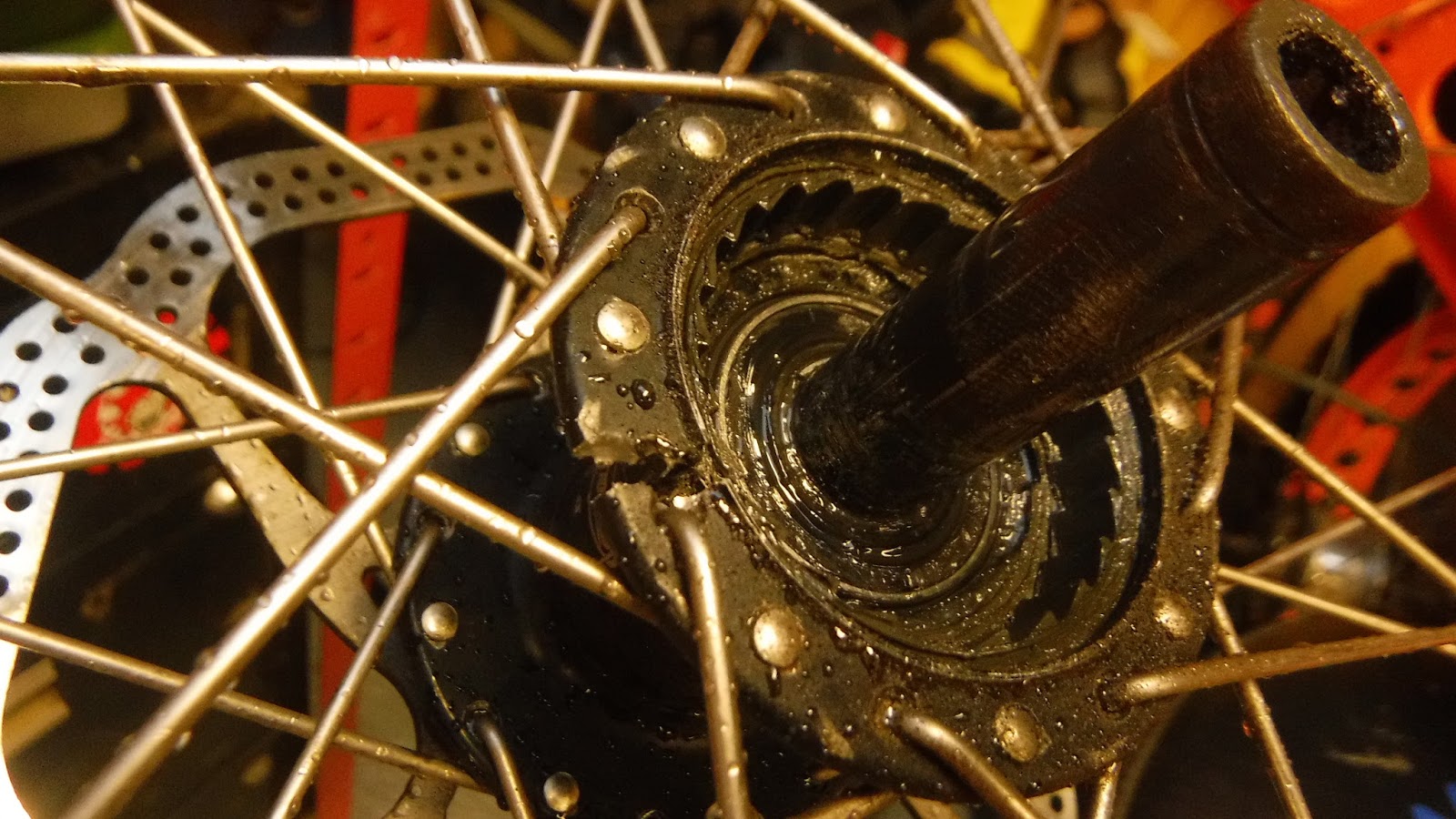 DSCF4179.JPG