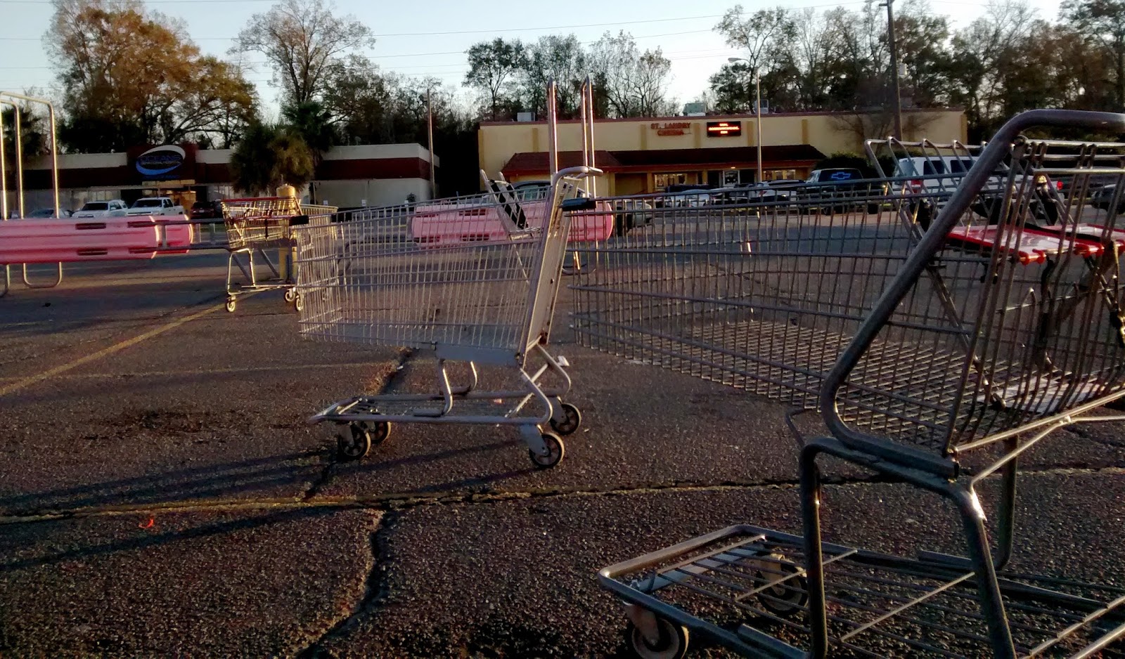 Living Rootless Louisiana Buggy Mayhem Nostalgia