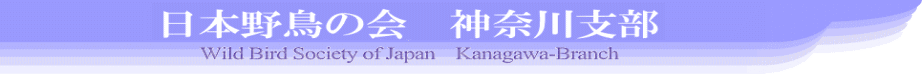 日本野鳥の会　神奈川支部　β