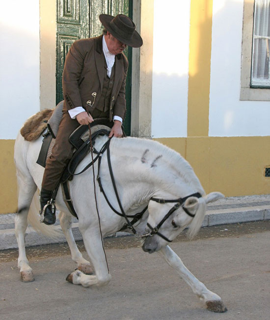 "Tweedland" The Gentlemen's club The traditional Portuguese riding