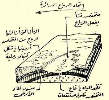 شعبة الجغرافيا كلية التربية اشكال السطح الناتجة عن التعرية الهوائية