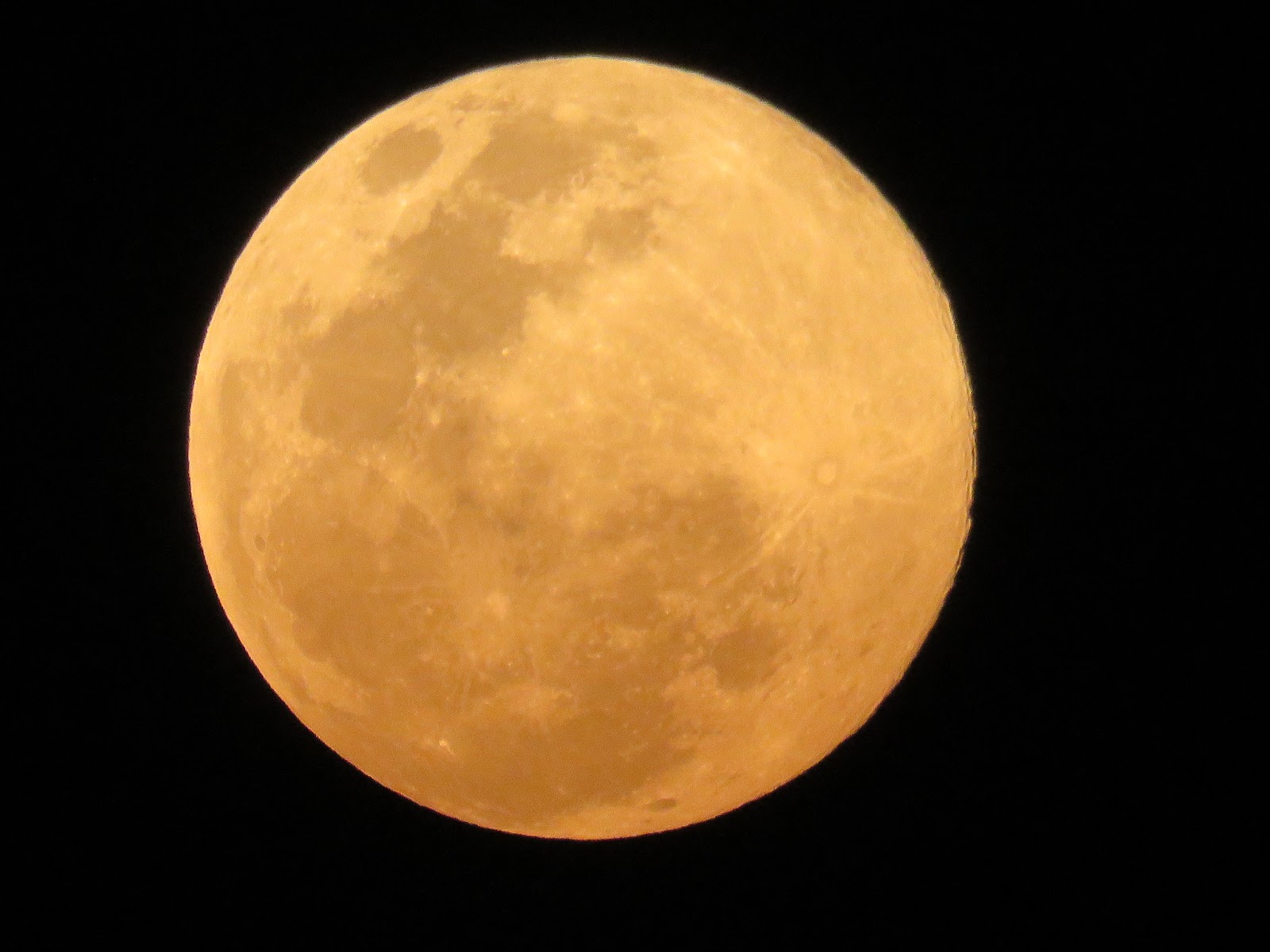 Motivando El Futuro The "Supermoon" Pink Moon
