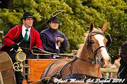 Il y a deux chevaux bretons: le postier. . pour le transport de voitures . (cheval breton)
