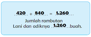 jumlah rambutan Lani dan adiknya www.simplenews.me