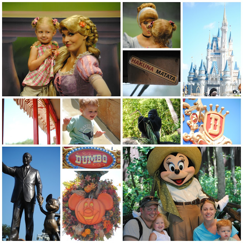 Disney World 2012 collage