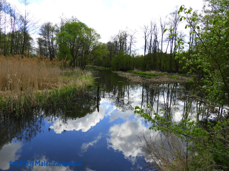 Wiosenna rzeka Grabia w Ldzaniu woj. łódzkie - Moje Małe Czarowanie ...