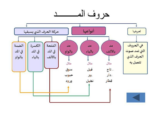 قواعد املائية مهمة جدا لطلاب ابتدائي -%2B%25D8%25B4%25D8%25B1%25D8%25AD%2B%25D9%2584%25D8%25AC%25D9%2585%25D9%258A%25D8%25B9%2B%25D8%25A7%25D9%2584%25D9%2582%25D9%2588%25D8%25A7%25D8%25B9%25D8%25AF%2B%25D8%25A7%25D9%2584%25D8%25A5%25D9%2585%25D9%2584%25D8%25A7%25D8%25A6%25D9%258A%25D8%25A9%2B%25D8%25A8%25D8%25A5%25D8%25B3%25D8%25AA%25D8%25B1%25D8%25A7%25D8%25AA%25D9%258A%25D8%25AC%25D9%258A%25D8%25A9%2B%25D8%25AE%25D8%25B1%25D8%25A7%25D8%25A6%25D8%25B7%2B%25D8%25A7%25D9%2584%25D9%2585%25D9%2581%25D8%25A7%25D9%2587%25D9%258A%25D9%2585--%2B%25D8%25A8%25D9%258A%25D9%2588%25D9%2585%25D9%2589%2B%25285%2529