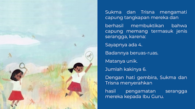 Seri AKM 5: Contoh Butir Soal Asesmen Literasi Membaca Tingkat SD