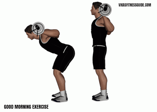 bom dia exercício e seus benefícios bom dia exercício e seus benefícios