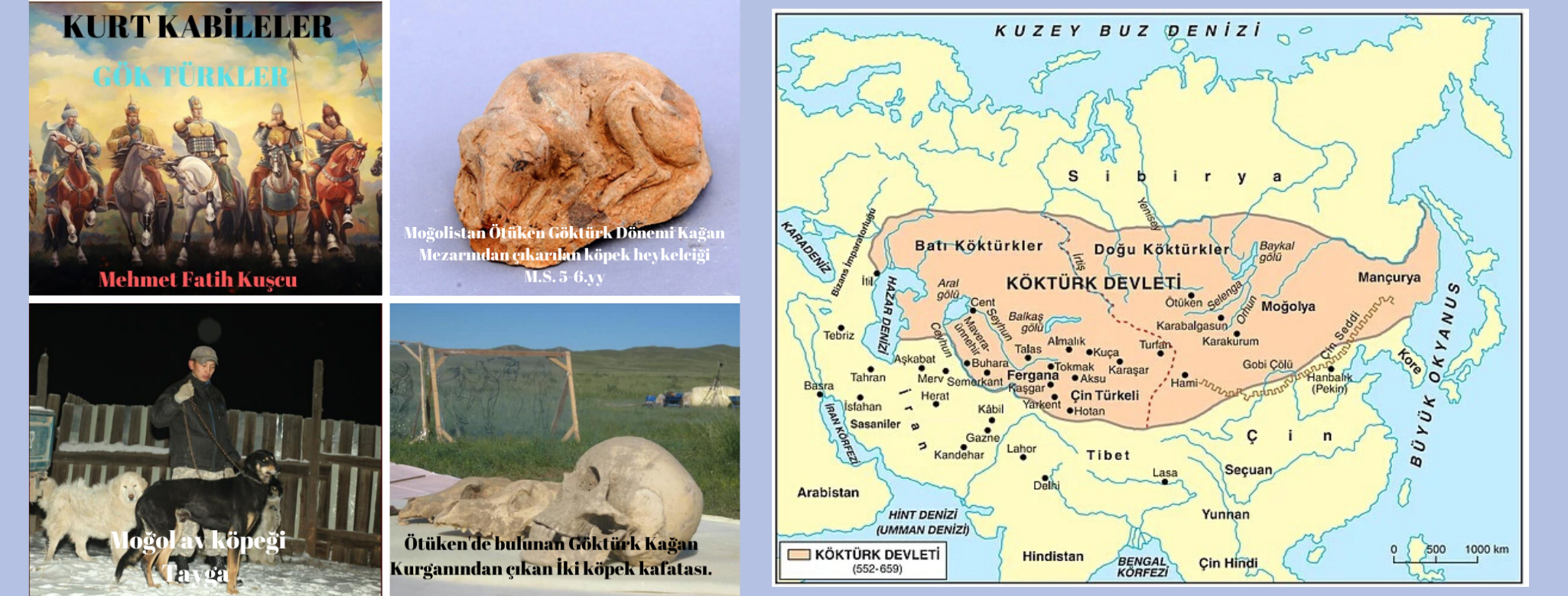 Çin kedisi. Çin. Qing Hanedanlığı (16441911)