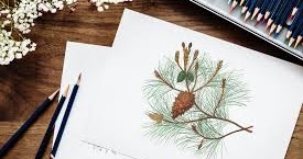 Karangan Bahasa Jepang Tentang Hobi Watashi No Shumi Aisuru Nihongo