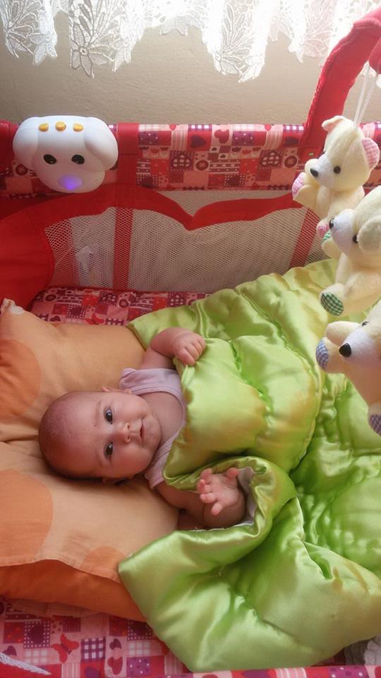 hamile kalmak icin ne yapmali bitkisel