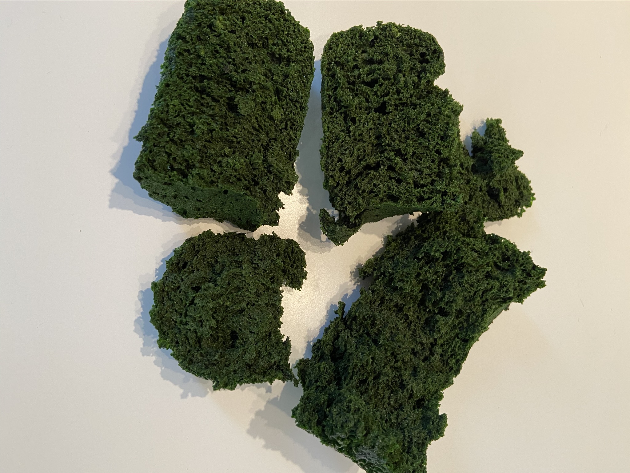 Edible Moss recipe