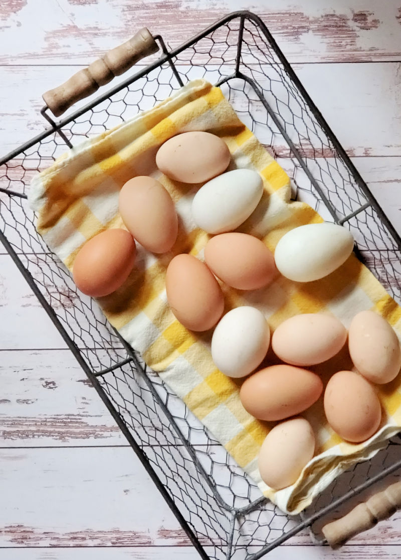Brown Eggs vs. White Eggs What's the Difference? Fresh Eggs Daily® with Lisa Steele