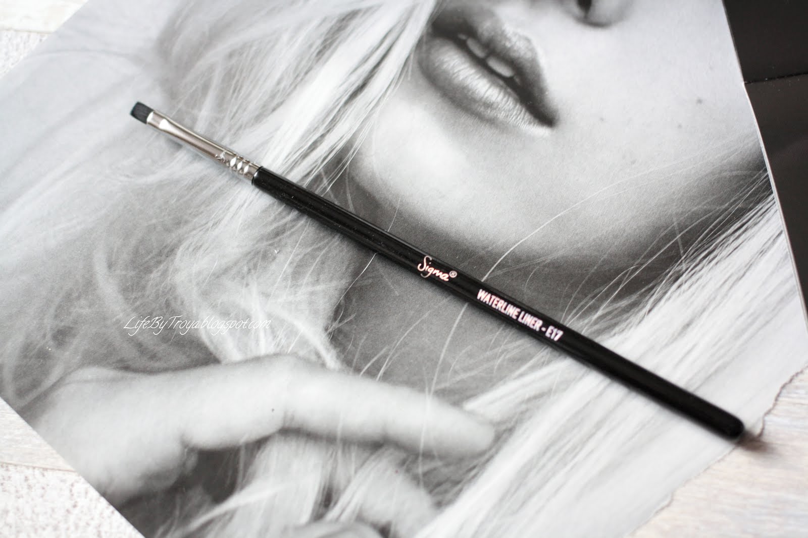 Review Sigma Brushes F79 Concealer Blend Kabuki, E34 Domed Utility