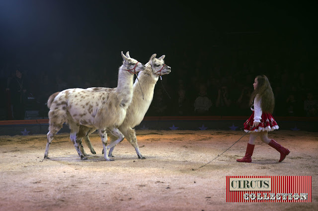 Spectacle Lamas Chanel Marie Knie