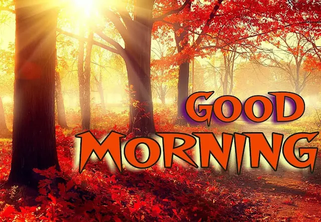 beautiful good morning images download