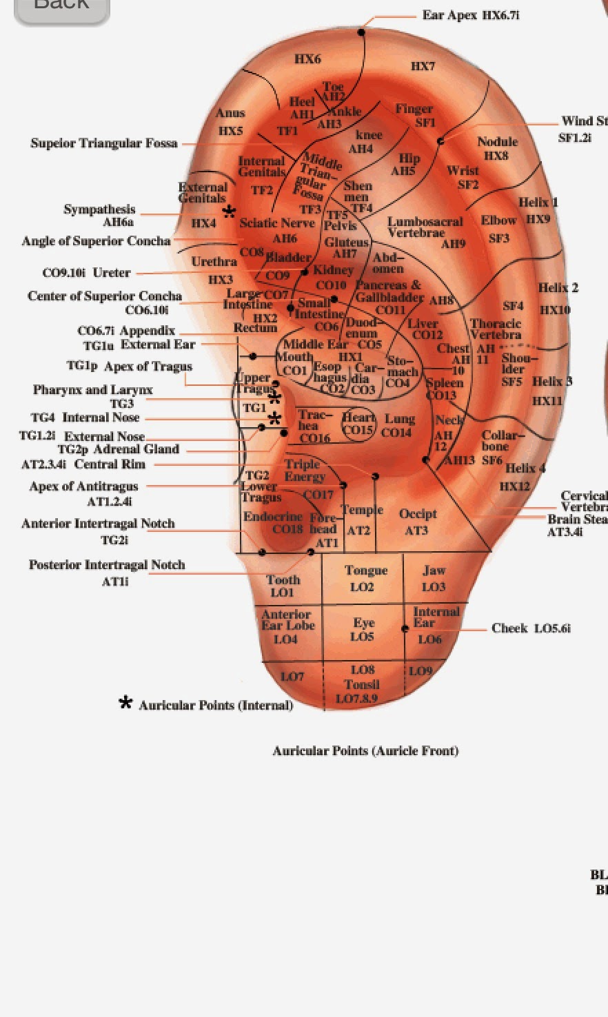 Acupuncture for beautiful life