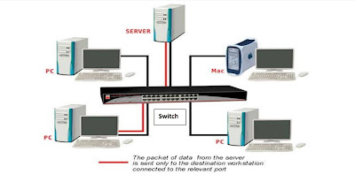 network switch network switch