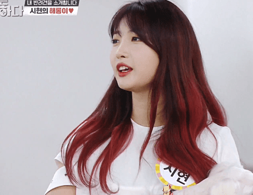 KakaoTalk_20200901_111956348_16.gif