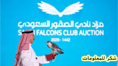 مزاد الصقور السعودي يبيع (١٠٢) صقر بسعر (١٠) ملايين ريال