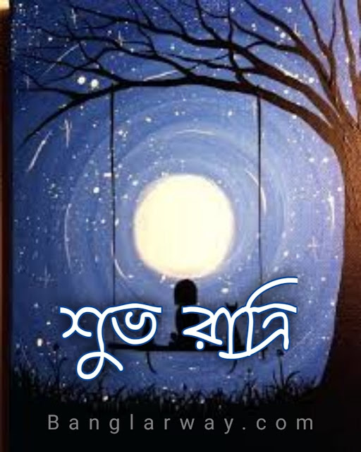 Bangla Good Night Image, Good Night Shayari image
