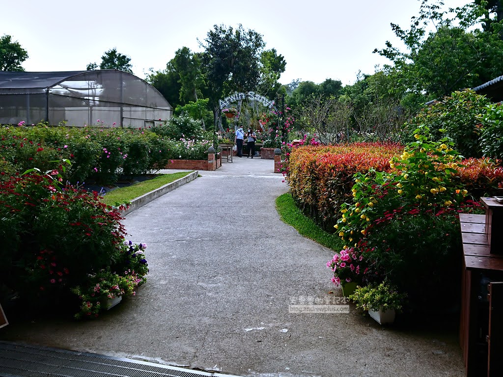 苗栗景點,三義好玩景點,雅聞香草植物工廠門票