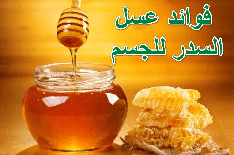 فوائد عسل السدر للجسم