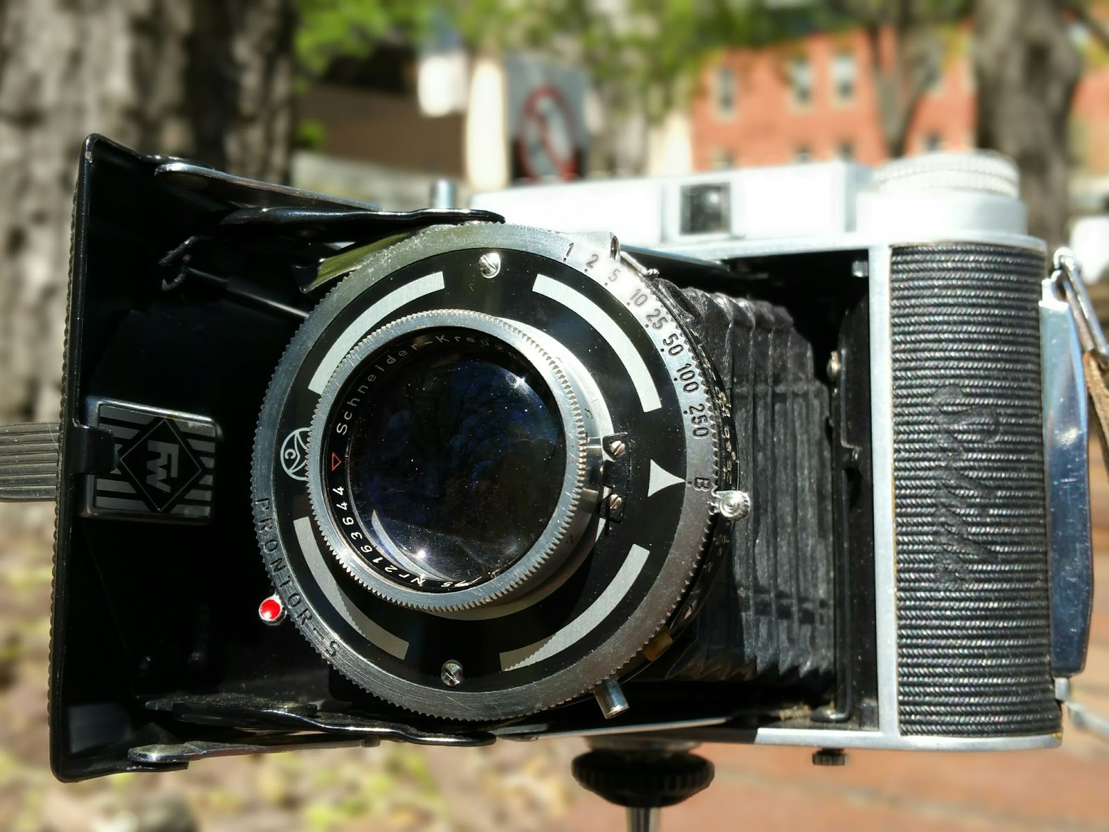 A Quirky Guy with a Camera Medium Format Cameras on a Budget Five