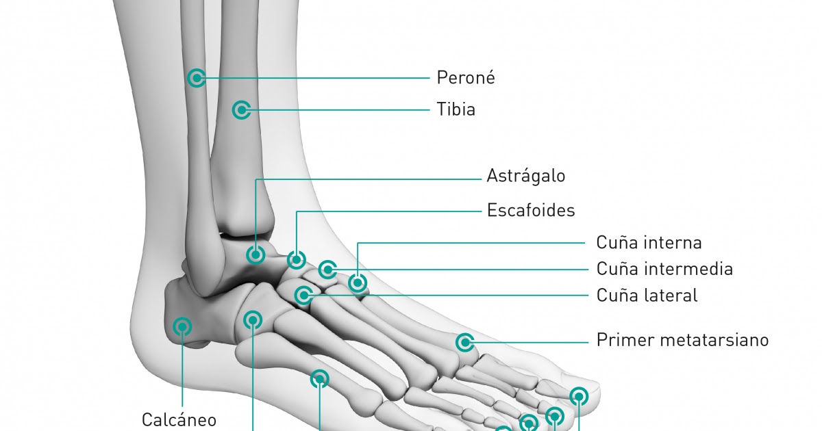 Clinical Reflexology: Feet 101: Essential Health Basics That You Need ...