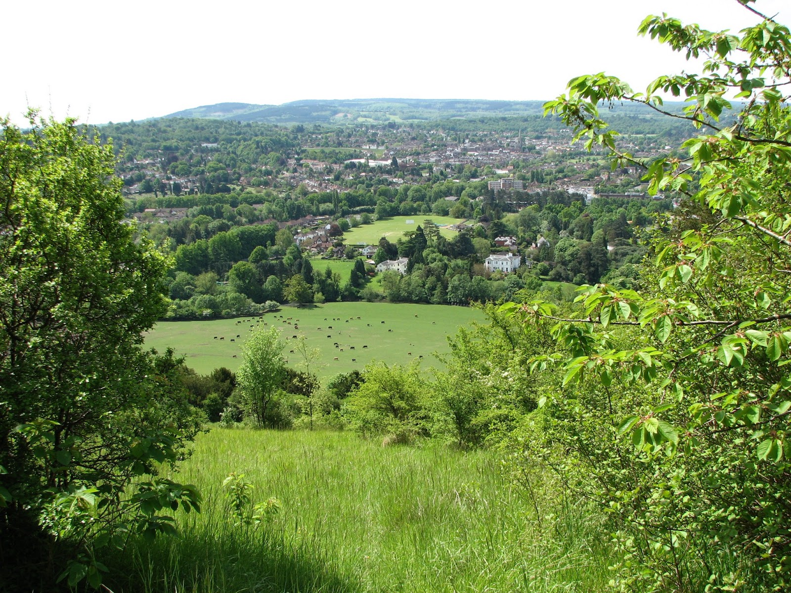 Purls In the Pool Walk From Box Hill