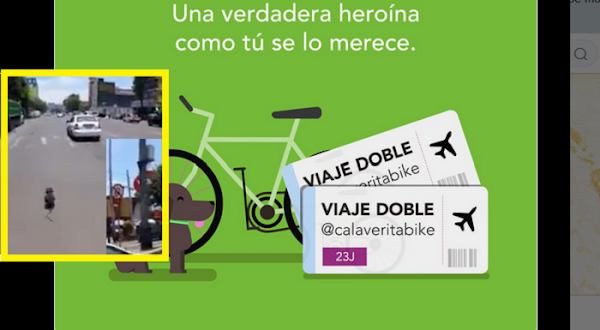 La aerolinea Volaris premia a ciclista que rescató a perrito La aerolinea Volaris premia a ciclista que rescató a perrito