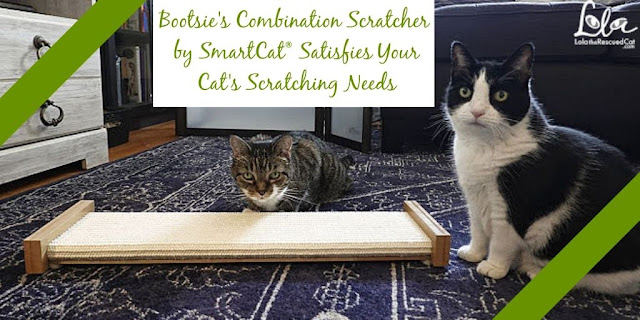 Two cats with the Bootsie's Combination Scratcher