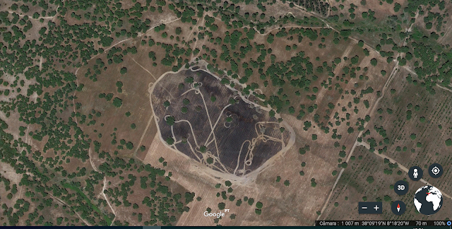 Químicos e morte povoam milhões de hectares do Alentejo