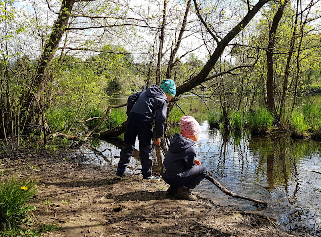 Küsten-Spaziergänge rund um Kiel, Teil 6: Der Rundweg um den Langsee. Ein schöner Ausflug für Familien mit Kindern!