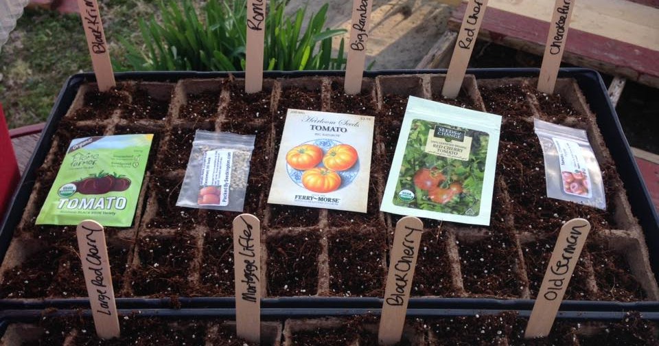 Growing Through Gardening Small Greenhouse Seed Starting