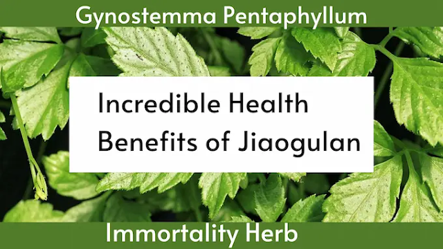 Health Benefits of Jiaogulan